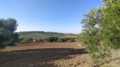 Rustic finca on Carretera Arcos Algar photo 2