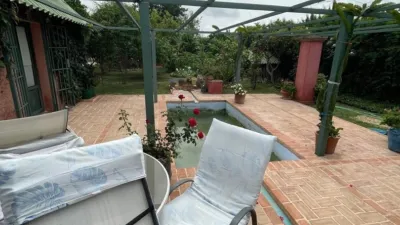 Rustic Finca in La Sierpe photo 42