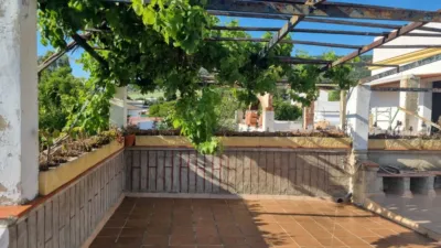 House in La Perdiz photo 9