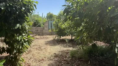 Rustic Finca on Camino de Las Lomas photo 49