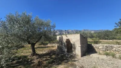Rustic finca in Polígono 6 Parcela 206 Codonyol, Alcanar [Tarragona] photo 20