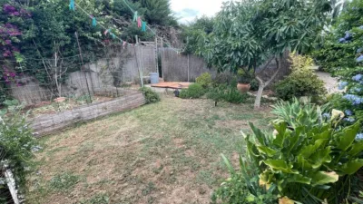 Rustic Finca in La Sierpe photo 13