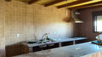 Rustic Finca in Sur photo 5