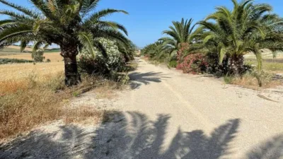 Rustic farm for sale on Carretera Arcos Algar photo 3