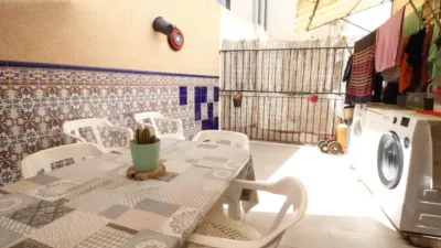 Pis – Elx / Elche, Camí dels Magros, el Baix Vinalopó - Vista 4