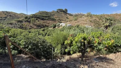 Rustic Finca on Camino de Las Lomas photo 55