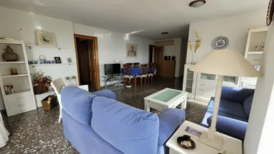 Apartment on Calle del Músico Agustín Bertomeu photo 4