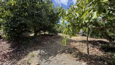Rustic Finca on Camino de Las Lomas photo 51