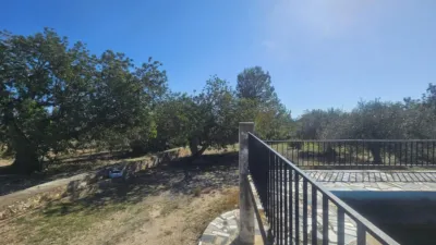 Rustic finca in Polígono 6 Parcela 206 Codonyol, Alcanar [Tarragona] photo 14