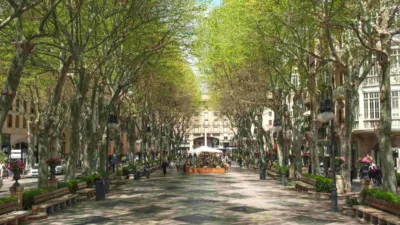 Apartment in Foners photo 28