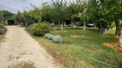Rustic Finca in La Sierpe photo 6