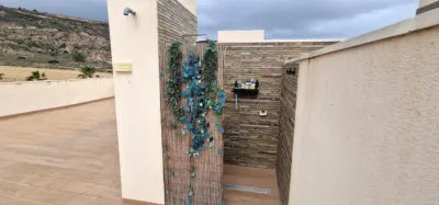 House in Comunidad Valenciana photo 39