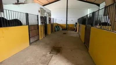 Rustic property in Sin Zona photo 40