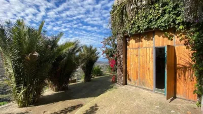 Rustic Finca on Calle de los Dátiles-Pino Alto photo 20