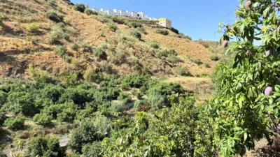Rustic Finca on Camino de Las Lomas photo 42