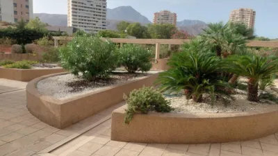 Apartment in Playa de Poniente photo 25
