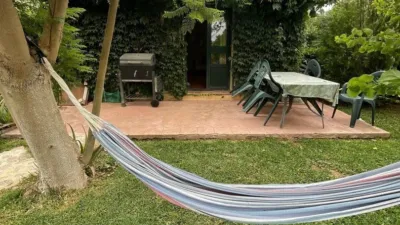 Rustic Finca in La Sierpe photo 15