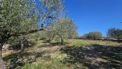 Rustic finca in Polígono 6 Parcela 206 Codonyol, Alcanar [Tarragona] photo 21