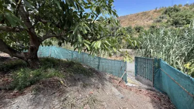 Rustic Finca on Camino de Las Lomas photo 50