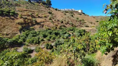 Rustic Finca on Camino de Las Lomas photo 33
