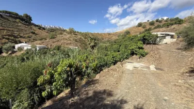 Rustic Finca on Camino de Las Lomas photo 6