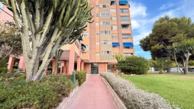 Piso – Alicante - Alacant - Vista 3