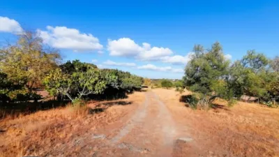 Rustic Finca in Extremadura photo 14