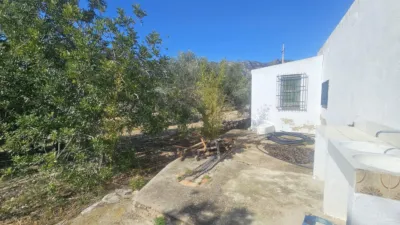 Rustic finca in Polígono 6 Parcela 206 Codonyol, Alcanar [Tarragona] photo 5