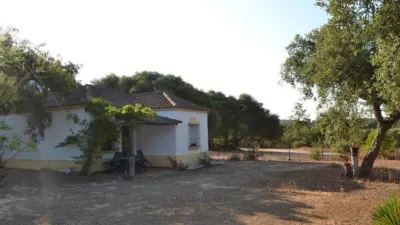 Rustic Finca on Carretera Arcos El Bosque photo 58