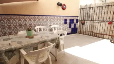 Pis – Elx / Elche, Camí dels Magros, el Baix Vinalopó - Vista 5