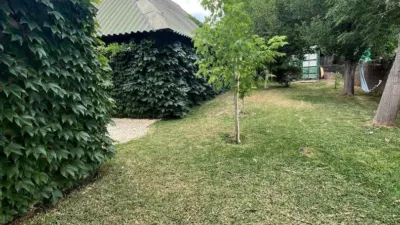 Rustic Finca in La Sierpe photo 10