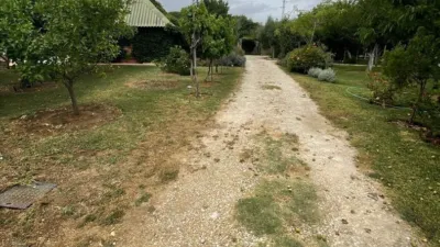 Rustic Finca in La Sierpe photo 7
