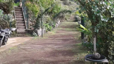 Rustic Finca on Calle de los Dátiles-Pino Alto photo 30