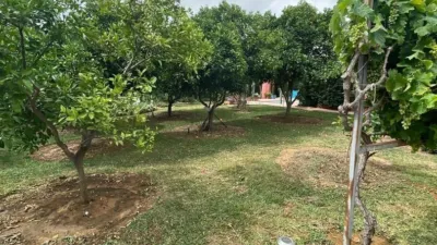 Rustic Finca in La Sierpe photo 5