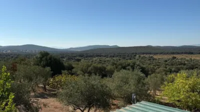 Rustic Finca in Sur photo 2