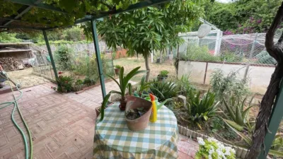 Rustic Finca in La Sierpe photo 28