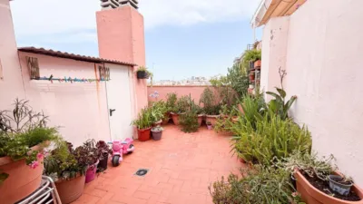 Duplex Penthouse on Avinguda de Pi i Margall photo 4