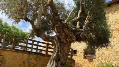 Rustic property in Sin Zona photo 33
