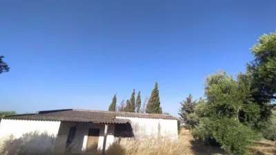 Rustic finca on Carretera Arcos Algar photo 5