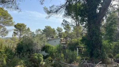 Rustic Finca in Els Vinyals photo 19