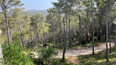 Rustic Finca in Els Vinyals photo 21