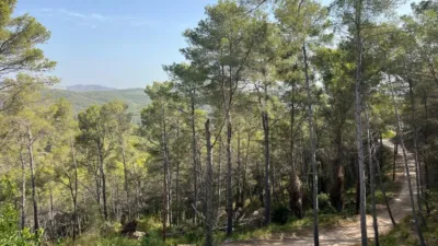 Rustic Finca in Els Vinyals photo 20
