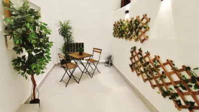 Apartment in Morvedre photo 8