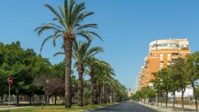 Flat in Altozano photo 52
