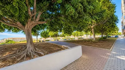 Apartment in Acequion photo 11