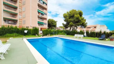 Apartment in La Zenia photo 39