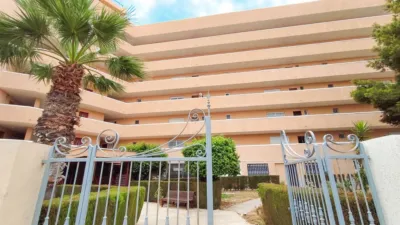 Apartment in La Zenia photo 43