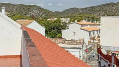 House in Centre photo 62