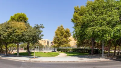 Flat in Altozano photo 56