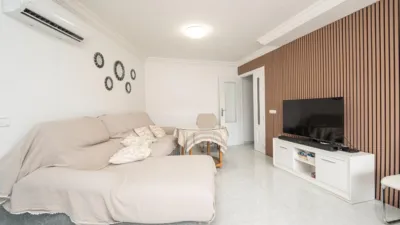 Apartment in Ciutat Dalcúdia photo 5